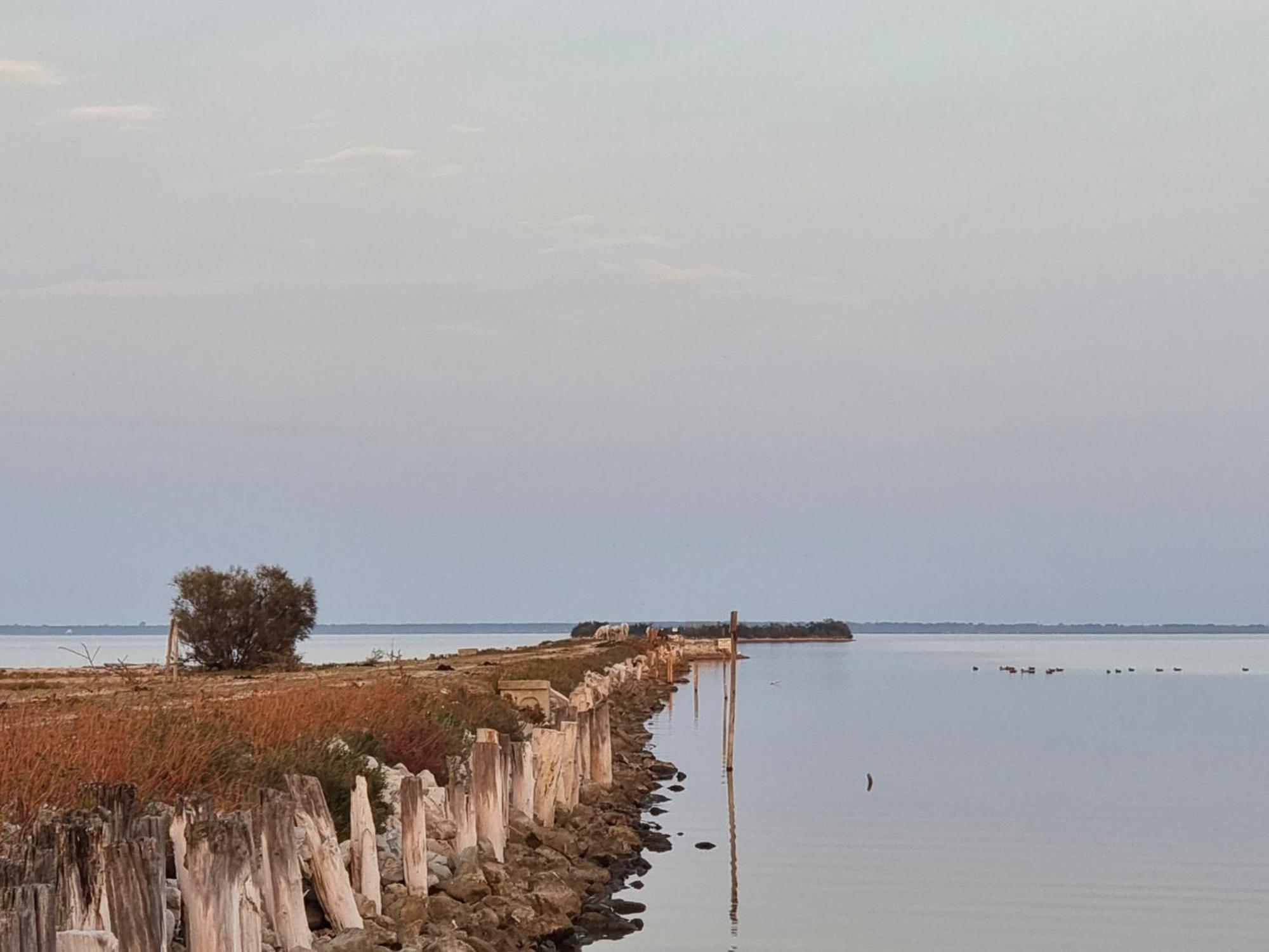 Al Ponticello Bed and Breakfast Comacchio Eksteriør billede