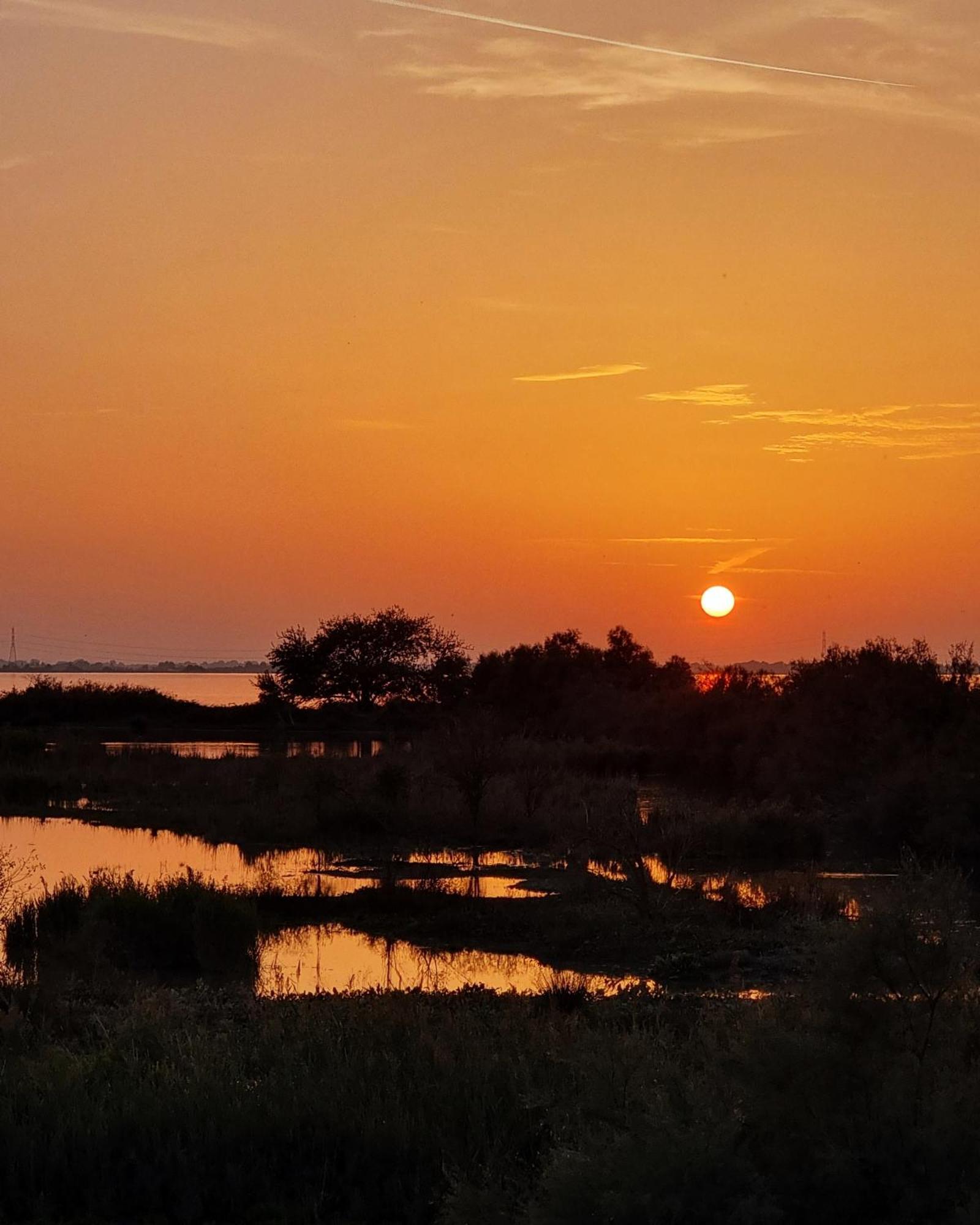 Al Ponticello Bed and Breakfast Comacchio Eksteriør billede